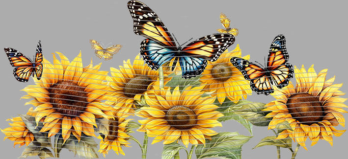 16oz Element-EN-1382